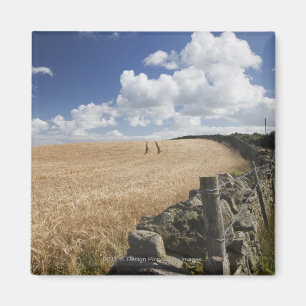 Imán Alambre De Baldosas Construido A Lo Largo De Una V