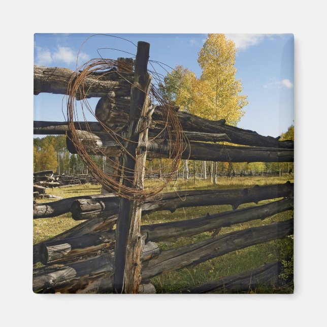 Imán Alambre de púas (Frente)