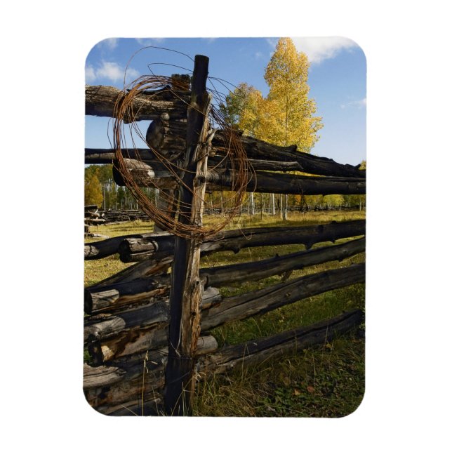 Imán Alambre de púas (Vertical)