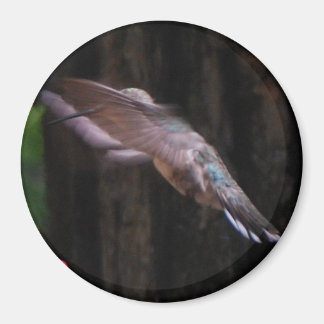 Imán Alas Angélicas