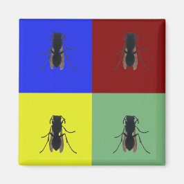 Imán Alas principales