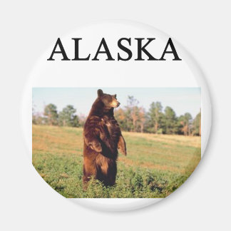 Imán alaska