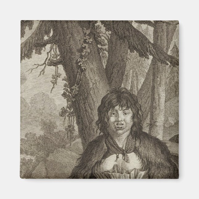 Imán Alaska 7 (Frente)