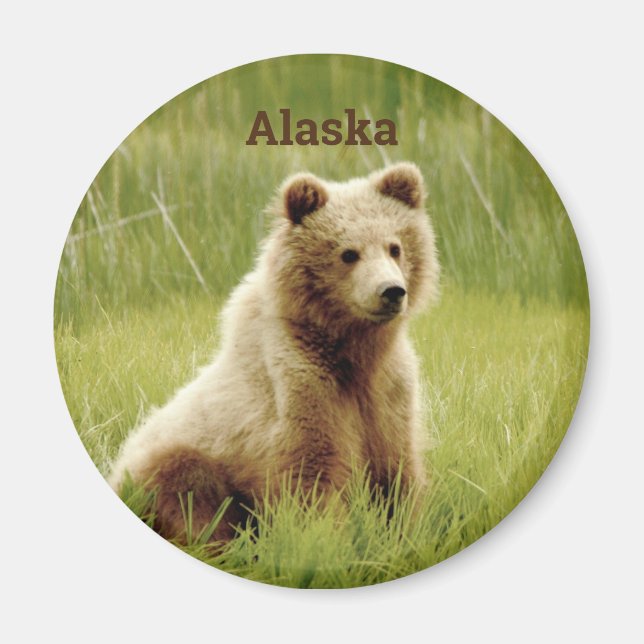 Imán Alaska Magnet con cachorro de oso pardo (Frente)