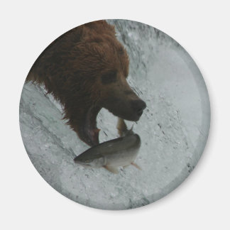 Imán Alaska Salmón de oso