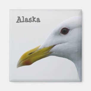 Imán Alaska Seagull Magnet