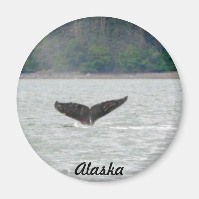 Imán Alaska Whale Tail (Frente)