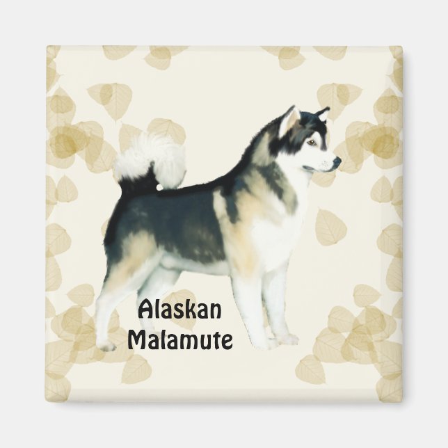 Imán Alaskan Malamute ~ Tan deja a Motiff (Frente)