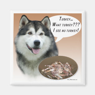 Imán Alaskan Malamute Turkey Magnet