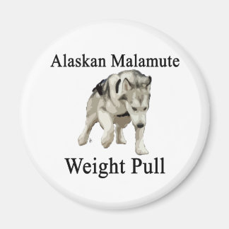Imán Alaskan Malamute Weight Pull