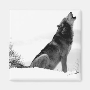 Imán Alaskan Timber Wolf Refig Magnet