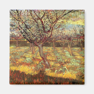 Imán Albaricoqueros en flor por Vincent van Gogh