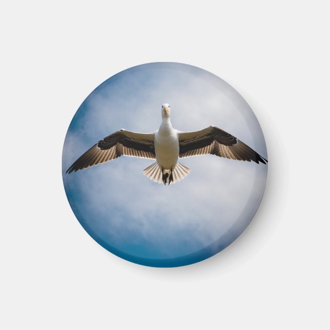 Imán Albatros (Frente)