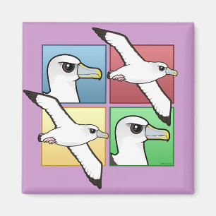 Imán Albatros de cuatro colores