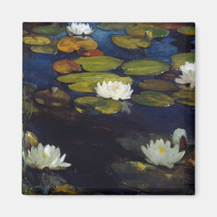 Imán Albert Edelfelt - Water Lilies, Estudio
