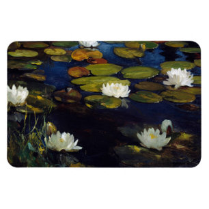 Imán Albert Edelfelt - Water Lilies, Estudio
