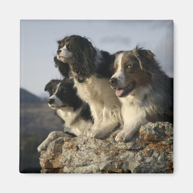 Imán Alberta (Canadá) 2 (Frente)