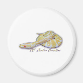 Imán Albino Hatchling Ball Python