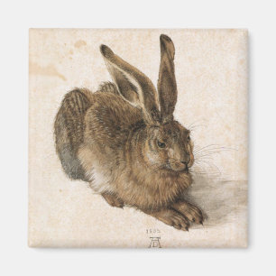 Imán Albrecht Dürer - Junger Hase (liebre joven), 1502