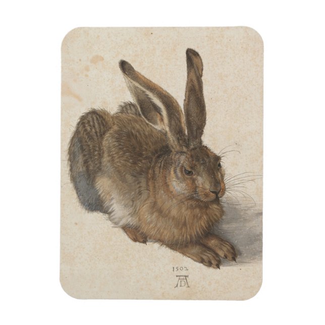 Imán Albrecht Dürer - Liebre (Vertical)