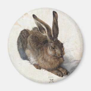 Imán Albrecht Dürer, Liebre joven, 1502