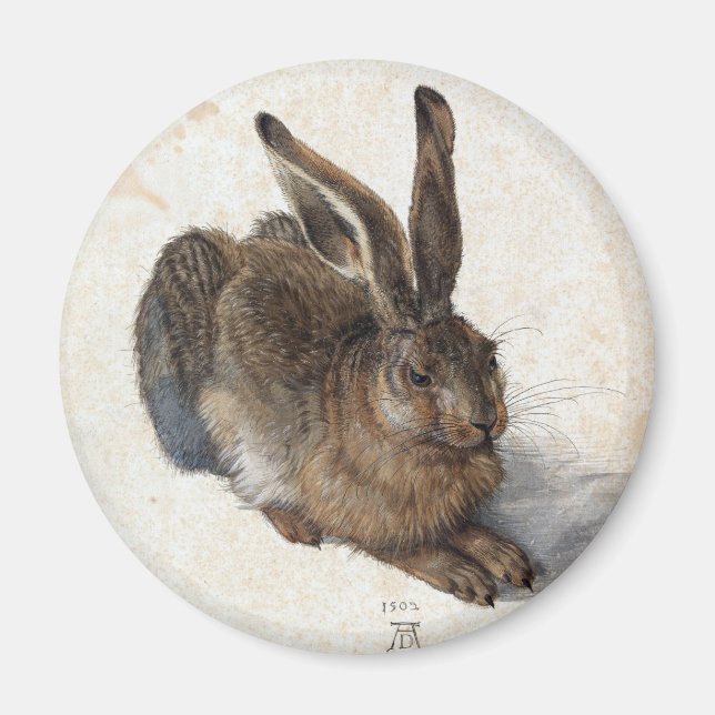 Imán Albrecht Dürer, Liebre joven, 1502 (Frente)
