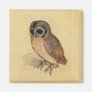 Imán Albrecht Durer The Little Owl