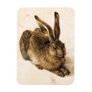 Imán Albrecht Durer Young Hare