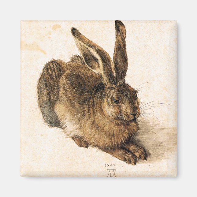 Imán Albrecht Durer Young Hare Magnet (Frente)