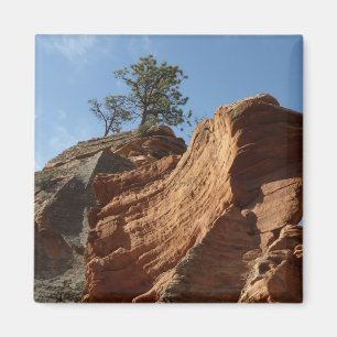 Imán Alcance de ángeles en el Parque Nacional de Zion