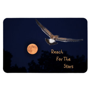 Imán Alcance De La Luna De Las Estrellas