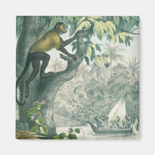 Imán Alcances superiores del Amazonas, del 'der del Das