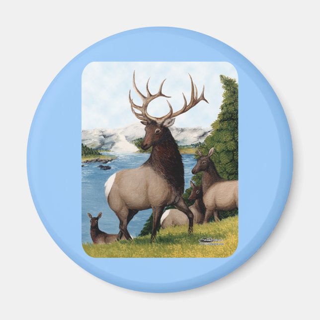 Imán Alce Wapiti (Frente)