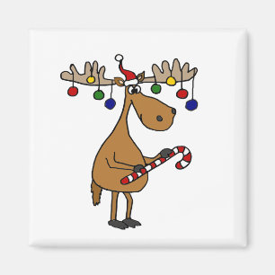 Imán Alces divertidos del navidad con los ornamentos