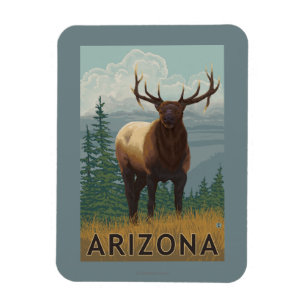 Imán Alces SceneArizona