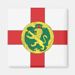 Imán Alderney