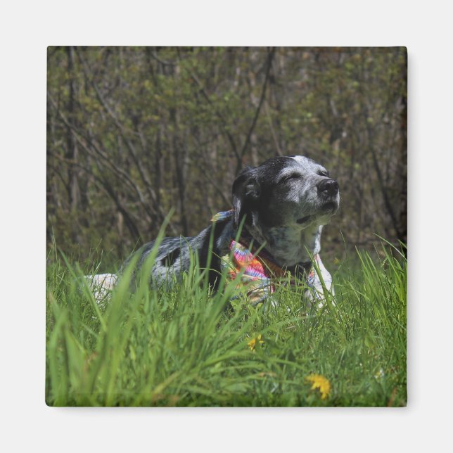 Imán Alegría (Frente)