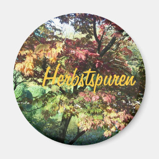 Imán Alegría en el otoño