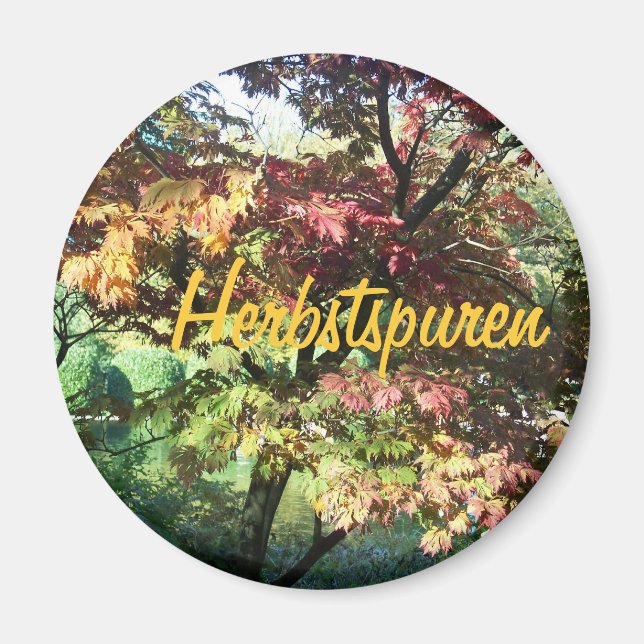 Imán Alegría en el otoño (Frente)