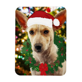 Imán Alegría por el cachorro