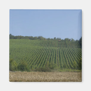 Imán Alemania, Franconia, Rothenburg. Ver a lo largo de