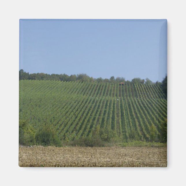 Imán Alemania, Franconia, Rothenburg. Ver a lo largo de (Frente)