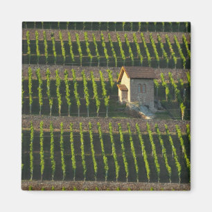 Imán Alemania, Franconia, Wertheim. Ladera trasera espe