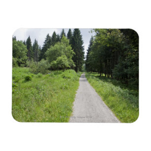 Imán Alemania, Thuringia, trayectoria en bosque