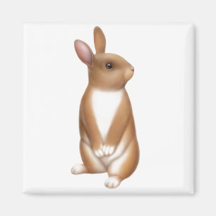 Imán Alert Bunny Rabbit Magnet