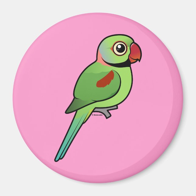 Imán Alexandrine Parakeet (Frente)