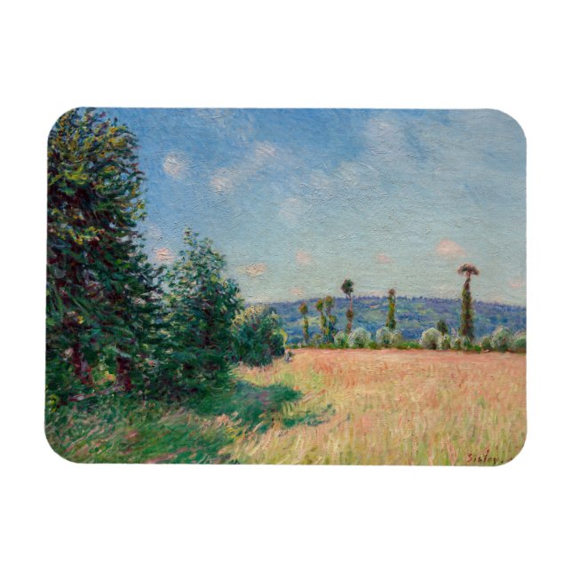 Imán Alfred Sisley - Los saharauis se reúnen en el sol  (Horizontal)
