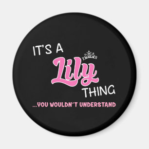 Imán Algo que Lily no entenderías