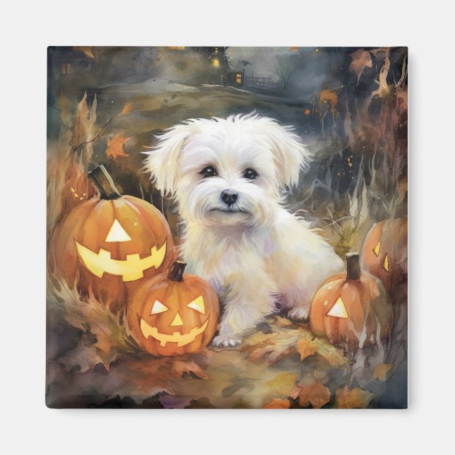 Imán Algodón De Tulear De Halloween Con Calabazas Asust (Frente)