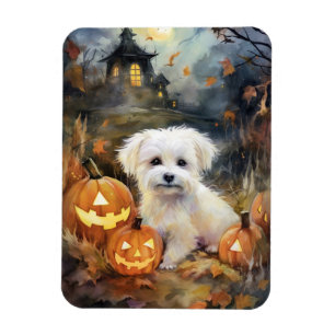 Imán Algodón De Tulear De Halloween Con Calabazas Asust